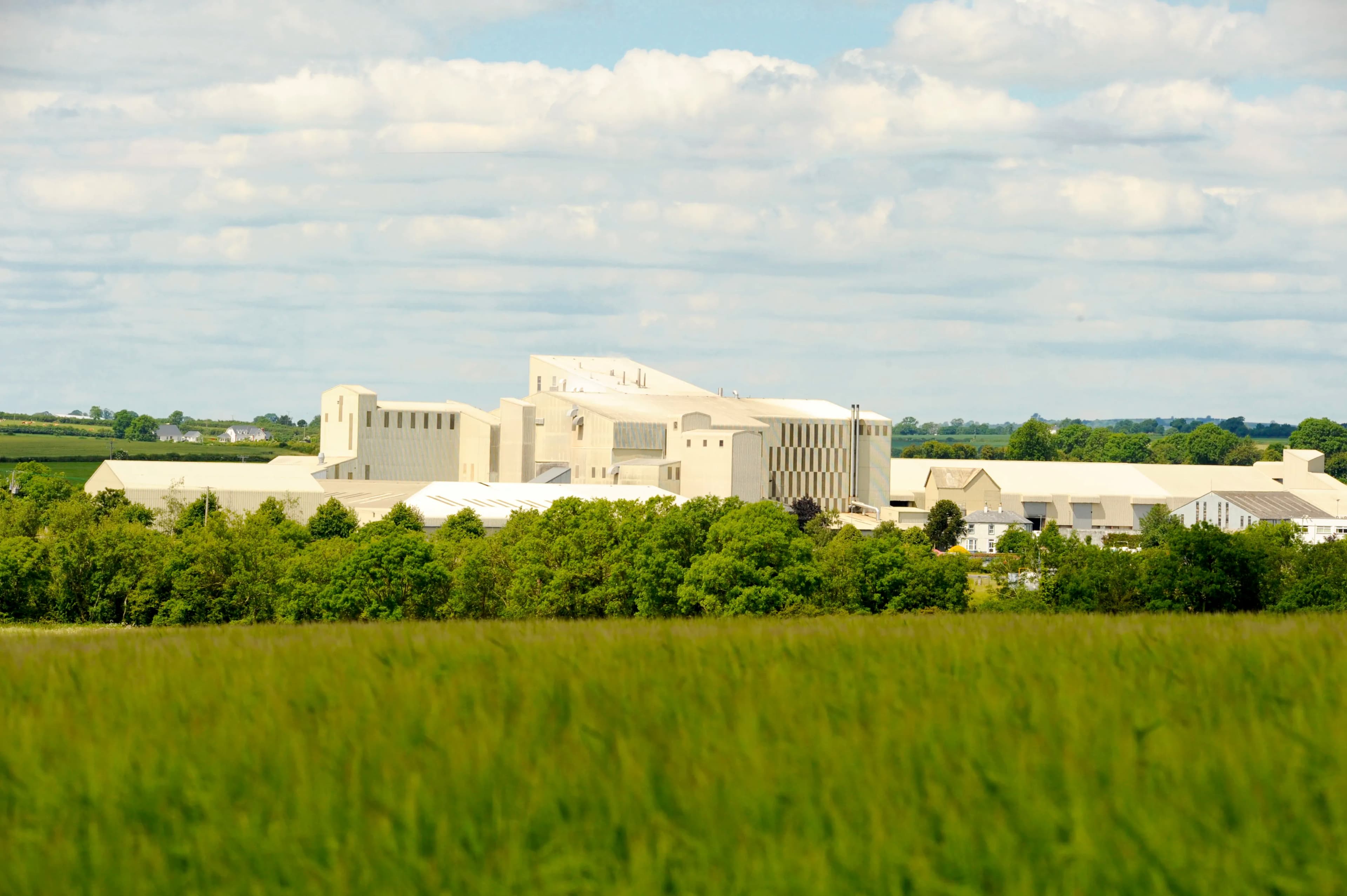Red Mills plant