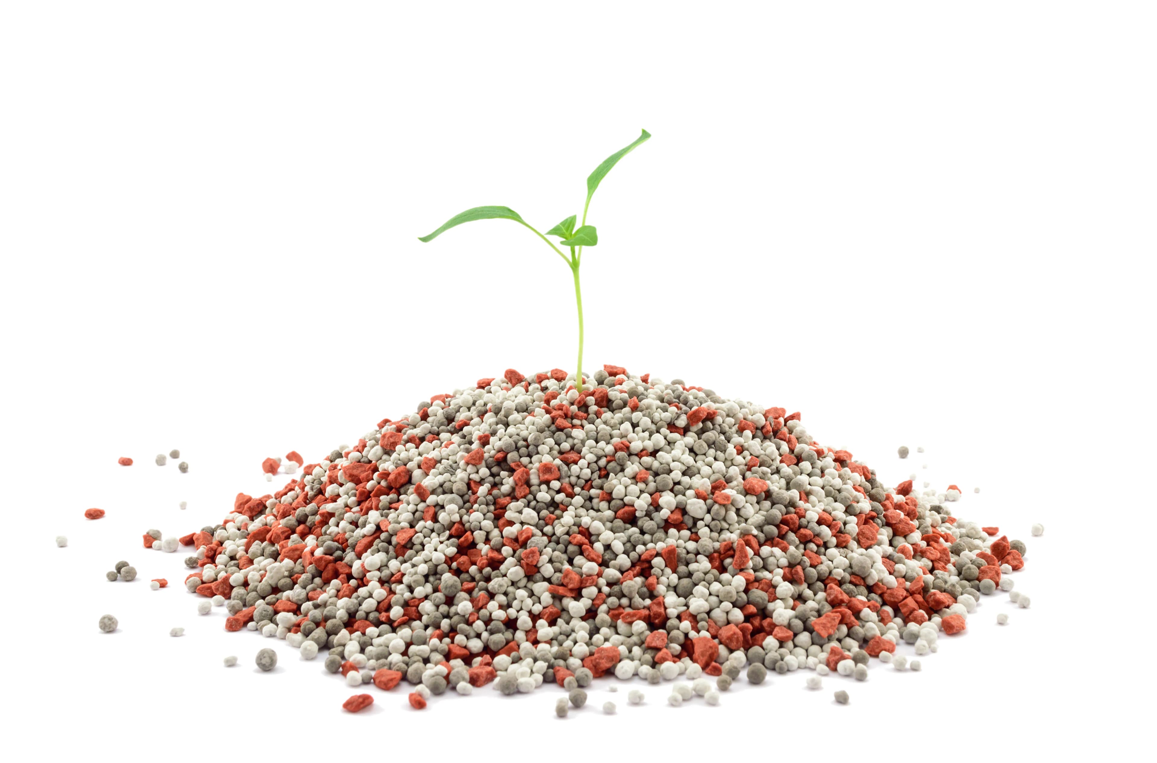 fertilizer