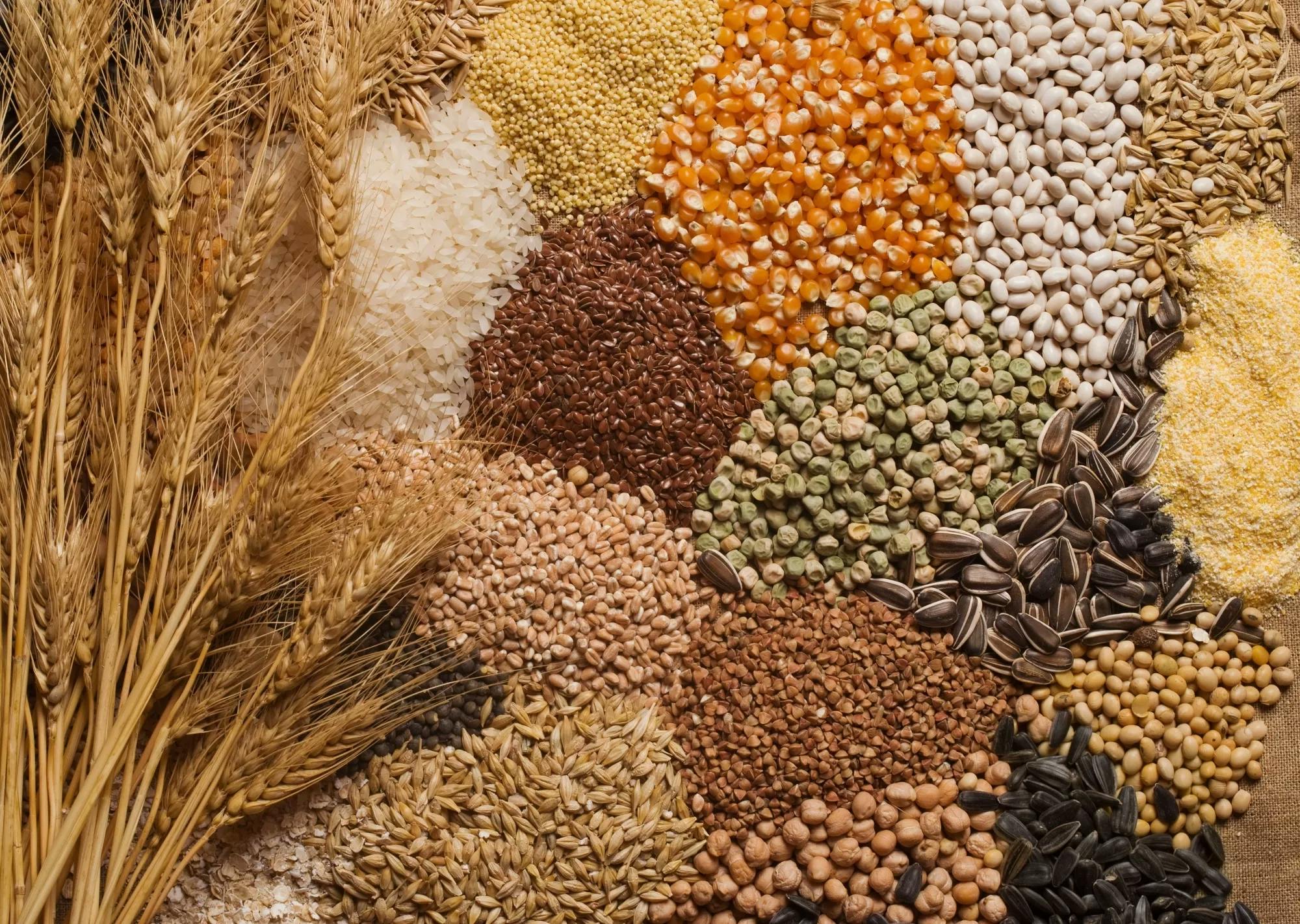 Many different grain varieties